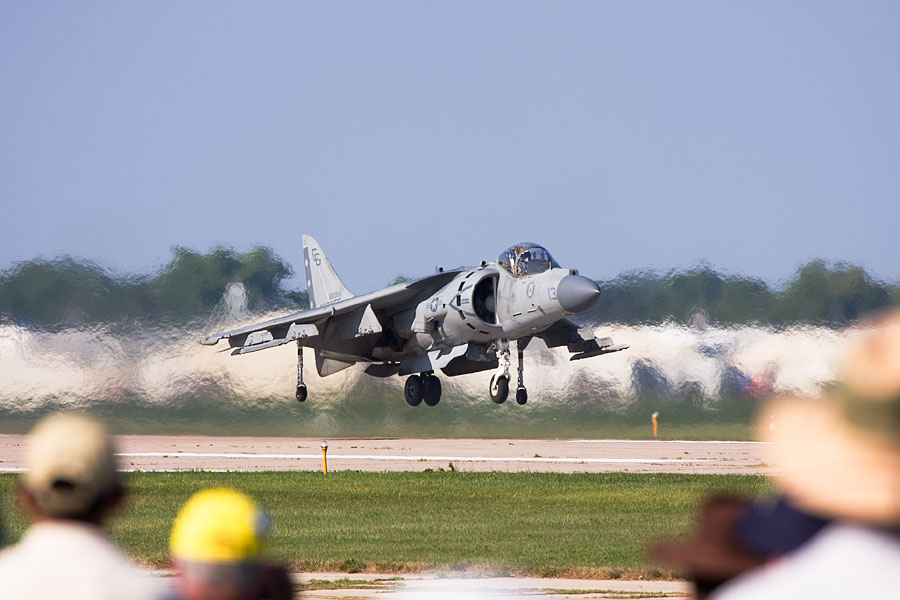 IMG_9847_900x600.jpg - Harrier
