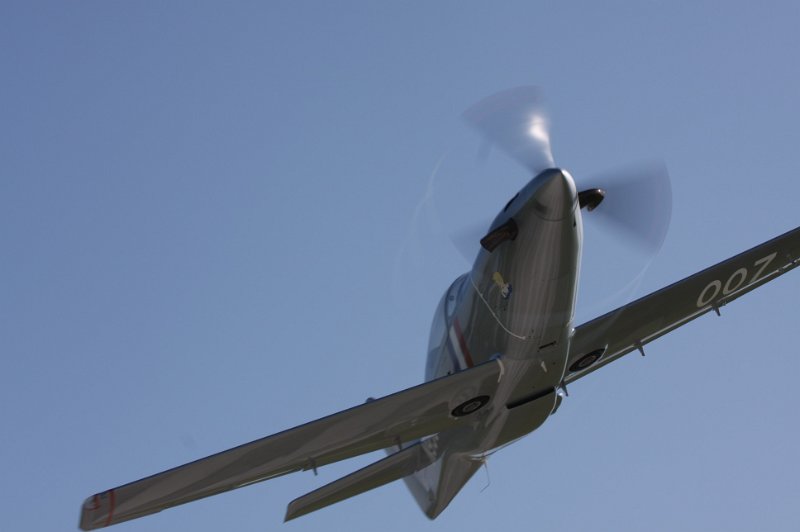 IMG_7783.CR2.jpg