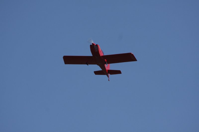 IMG_8108.CR2.jpg