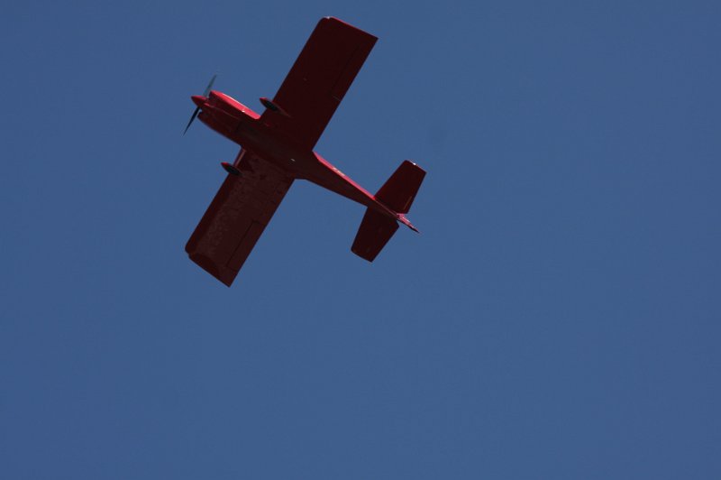 IMG_8113.CR2.jpg