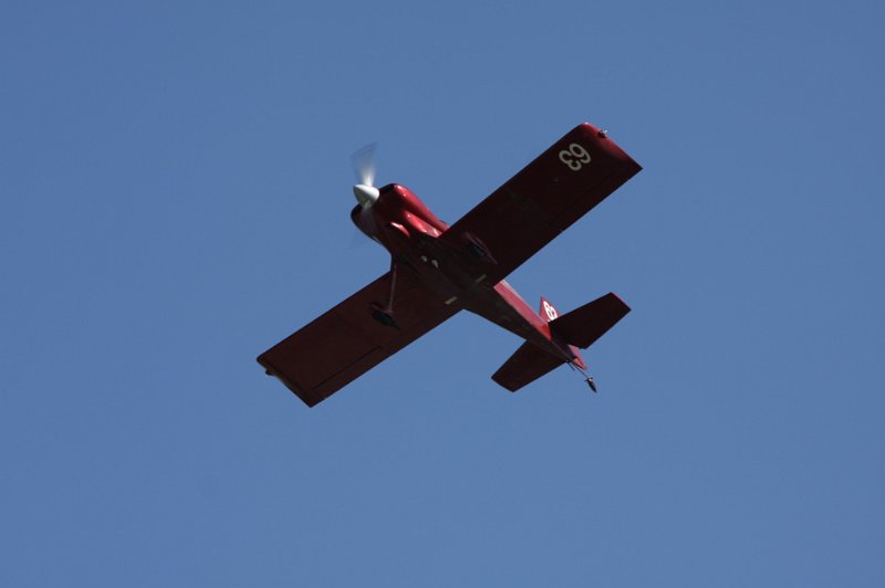 IMG_8171.CR2.jpg