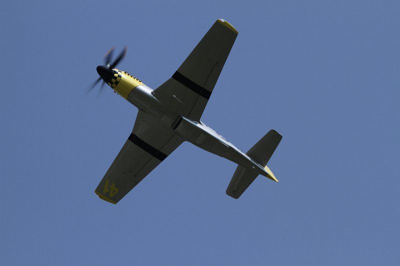 IMG_2208.CR2.jpg